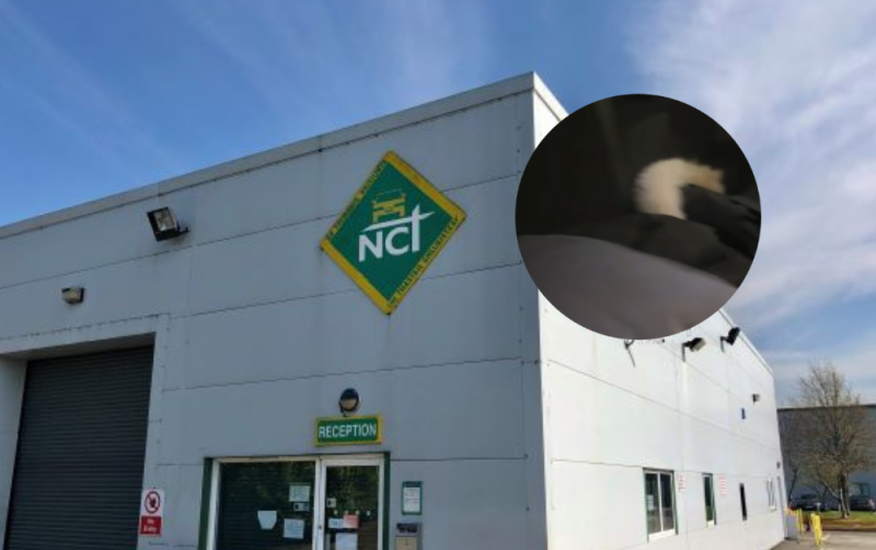 Tástálaithe NCT sáite ag fionnachtain a rinneadh sa suíochán cúil i measc foláirimh thromchúisigh