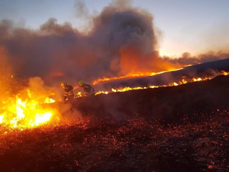 Imscrúdú ar siúl tar éis ráig tine shuntasach ag Páirc Náisiúnta Wild Nephin