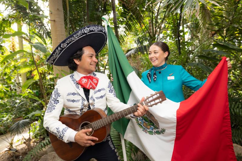 Fógraíonn Aer Lingus eitiltí nua go Cancún agus tá na praghsanna níos saoire ná mar a cheapfá