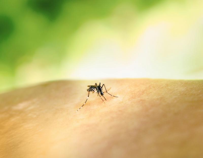 Rabhadh tugtha do thurasóirí Éireannacha mar gheall ar mhéadú ar ghalair mosquito ar fud na hEorpa