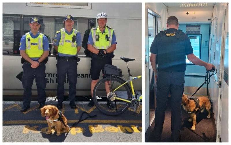 Tugann madra bolaithe Gardaí 'crap agus ord' le linn ruathar stáisiúin traenach