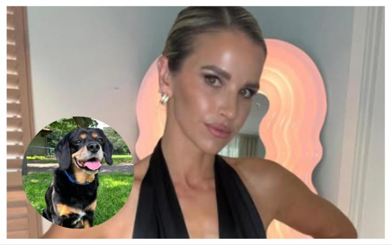 'Bhí sé ann i gcónaí dúinn' - Foilsíonn Vogue Williams ómós i ndiaidh bhás ball teaghlaigh ghrámhar