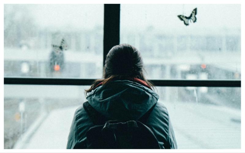 Íocfaidh iarrthóirí tearmainn in Éirinn suim shuntasach as cóiríocht Stáit faoi phleananna nua