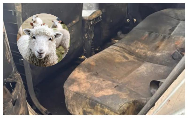 'Chic feirme' - Ghlac t&aacute;st&aacute;laithe NCT gn&iacute;omh m&oacute;r nuair a th&aacute;inig an carr seo le haghaidh t&aacute;st&aacute;la