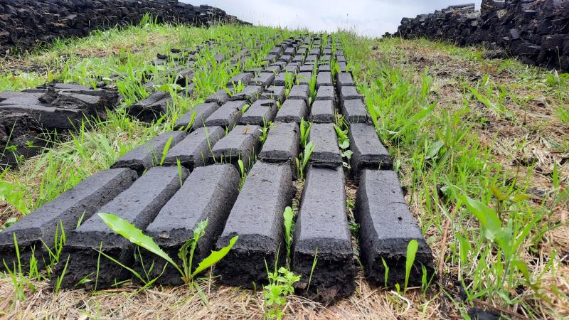 Iarratais ar ghn&iacute;omha&iacute;ocht thapa chun stop a chur le baint m&oacute;na m&iacute;dhleathach ar sc&aacute;la m&oacute;r