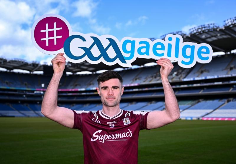 Peilead&oacute;ir na Gaillimhe, Se&aacute;n &Oacute; Maoilchiar&aacute;in, ceaptha ina Ambasad&oacute;ir Gaeilge CLG do 2026