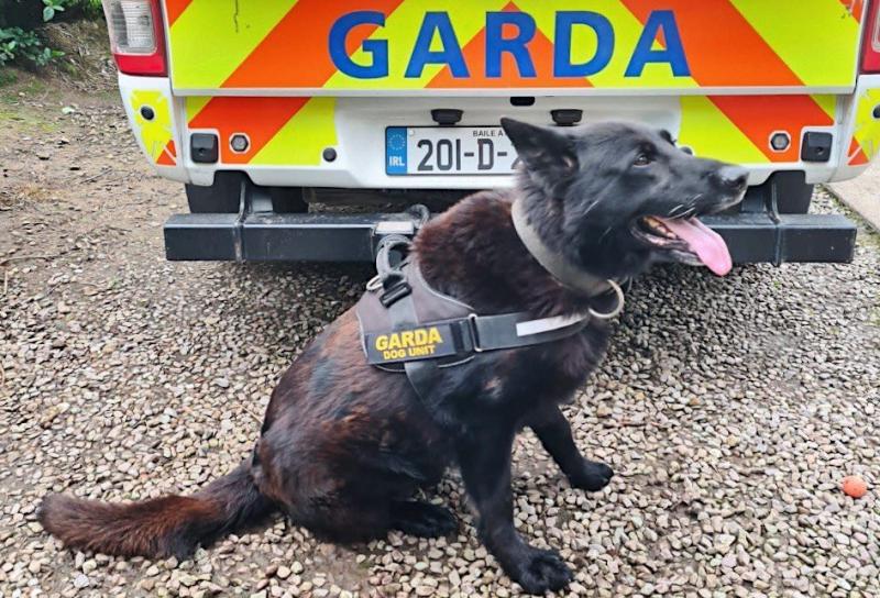 'Buachaill maith' Laser ar scor ó Aonad Madraí an Gharda Síochána tar éis a shaoil fhada