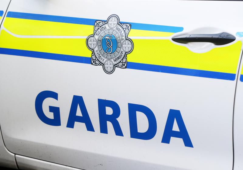 Scaoileadh beirt amhrastach tar éis urghabháil drugaí €700k